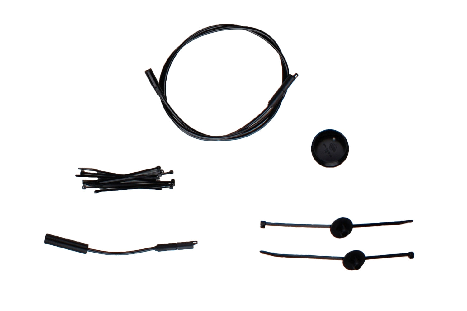 Image uploaded for handle 31-224550