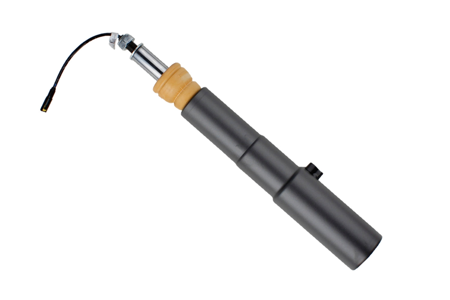 Image uploaded for handle 49-300581